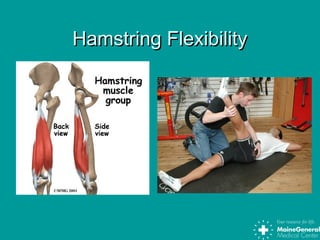 Hamstring FlexibilityHamstring Flexibility
 
