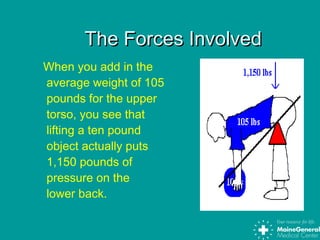 The Forces InvolvedThe Forces Involved
When you add in the
average weight of 105
pounds for the upper
torso, you see that
lifting a ten pound
object actually puts
1,150 pounds of
pressure on the
lower back.
 