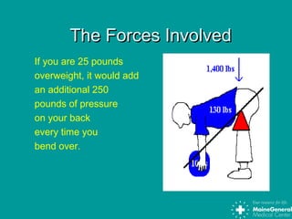 The Forces InvolvedThe Forces Involved
If you are 25 pounds
overweight, it would add
an additional 250
pounds of pressure
on your back
every time you
bend over.
 