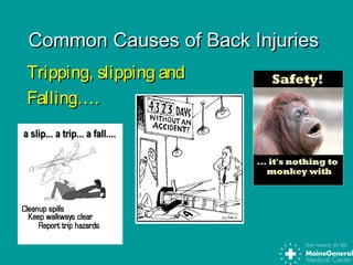 Common Causes of Back InjuriesCommon Causes of Back Injuries
Tripping, slipping andTripping, slipping and
Falling….Falling….
 