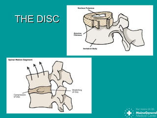 THE DISCTHE DISC
 