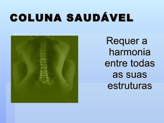 COLUNA SAUDÁVEL Requer a harmonia entre todas as suas estruturas 