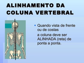 ALINHAMENTO DA COLUNA VERTEBRAL Quando vista de frente ou de costas  a coluna deve ser ALINHADA (reta) de ponta a ponta. 