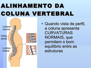 Quando vista de perfil, a coluna apresenta CURVATURAS NORMAIS, que permitem o bom equilíbrio entre as estruturas ALINHAMENTO DA COLUNA VERTEBRAL Perfil Lordose  cervical Cifose  dorsal Lordose lombar 
