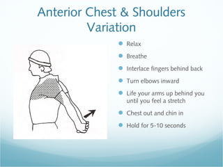 Anterior Chest & Shoulders
Variation
 Relax
 Breathe
 Interlace fingers behind back
 Turn elbows inward
 Life your arms up behind you
until you feel a stretch
 Chest out and chin in
 Hold for 5-10 seconds
 