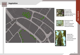 MICRO Vegetation
56
 