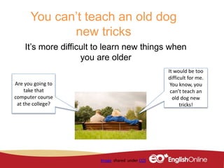 You can’t teach an old dog
new tricks
It’s more difficult to learn new things when
you are older
Image shared under CC0
Ar...