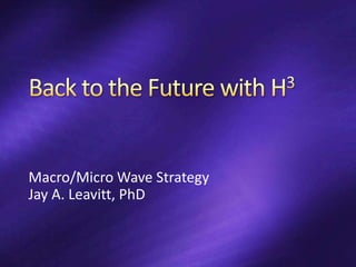 Macro/Micro Wave Strategy
Jay A. Leavitt, PhD
 