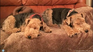 © Jasmine Brien 2016-07-23© Jasmine Brien 2016-07-23
 