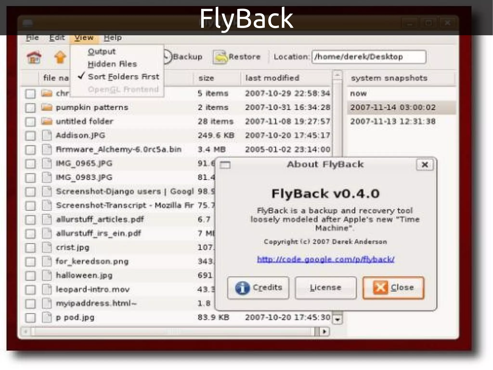 FlyBack
 