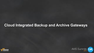 Cloud Integrated Backup and Archive Gateways
 