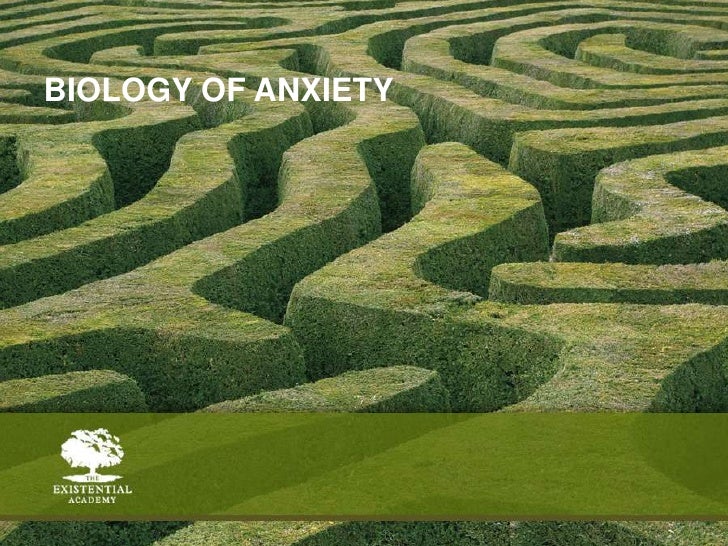 Biology of anxiety<br />