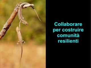 Collaborare
per costruire
comunità
resilienti
 
