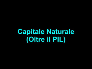 Capitale Naturale
(Oltre il PIL)
 