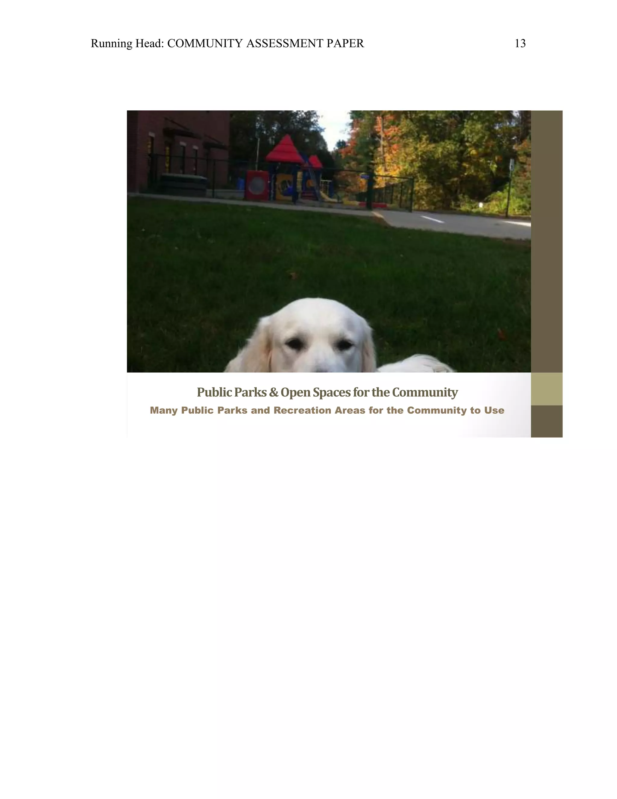 Running Head: COMMUNITY ASSESSMENT PAPER                                  13




                Public Parks & Open Spaces for the Community
        Many Public Parks and Recreation Areas for the Community to Use
 