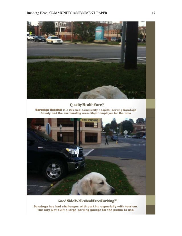 Community assessment paper