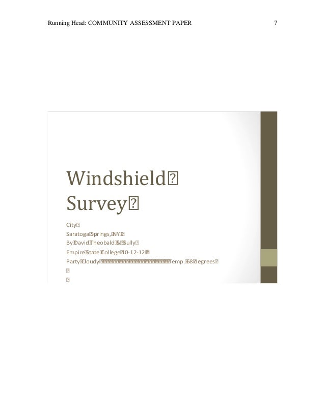 community assessment paper