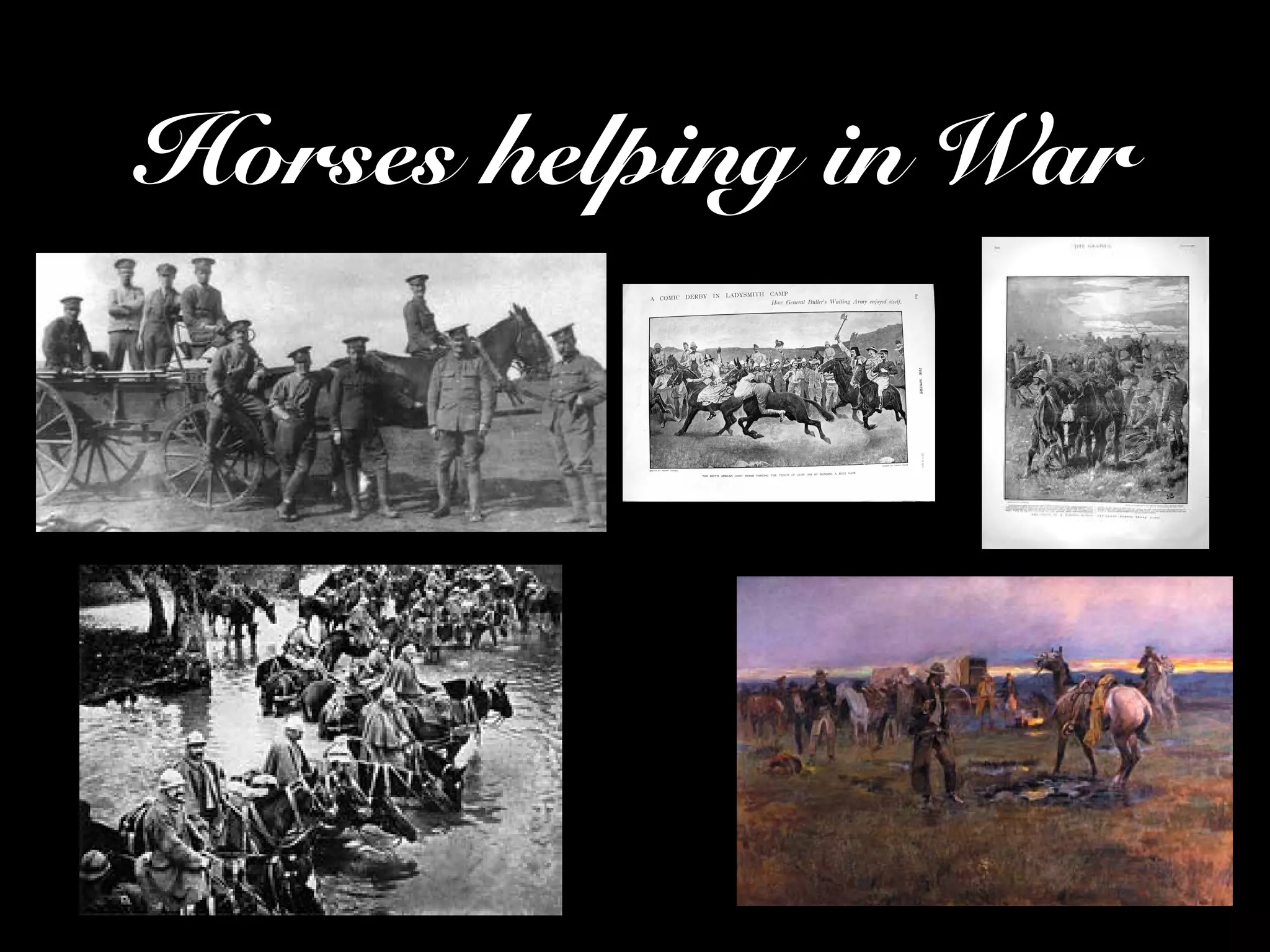 Horses helping in War
 