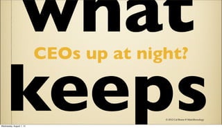 what                 CEOs up at night?

     keeps
Wednesday, August 1, 12
                                        © 2012 Cal Bruns @ Matchboxology
 