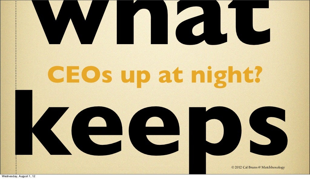 What Keeps CEOs Up at night about Social Media