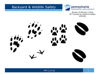 Backyard & Wildlife Safety
1
PPT-113-01
Bureau of Workers’ Comp
PA Training for Health & Safety
(PATHS)
 