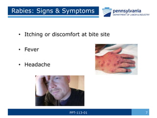 What Rash Is Rabbies Backyard and Wildlife Safety.pptx