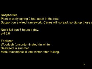 16
Raspberries
Plant in early spring 2 feet apart in the row.
Support on a wired framework. Canes will spread, so dig up those c
Need full sun 6 hours a day.
pH 6.0
Fertilizer:
Woodash (uncontaminated) in winter
Seaweed in summer
Manure/compost in late winter after fruiting.
 