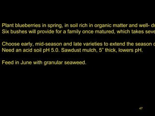 47
Plant blueberries in spring, in soil rich in organic matter and well- dr
Six bushes will provide for a family once matured, which takes seve
Choose early, mid-season and late varieties to extend the season o
Need an acid soil pH 5.0. Sawdust mulch, 5” thick, lowers pH.
Feed in June with granular seaweed.
 