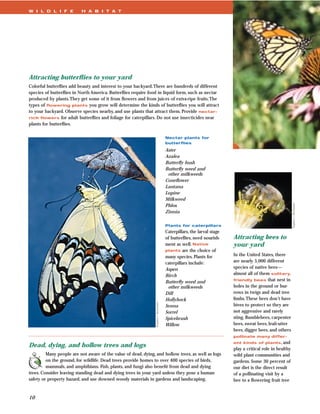 W I L D L I F E           H A B I T A T




Attracting butterﬂies to your yard
Colorful butterﬂies add beauty and interest to your backyard.There are hundreds of different
species of butterﬂies in North America. Butterﬂies require food in liquid form, such as nectar
produced by plants.They get some of it from ﬂowers and from juices of extra-ripe fruits.The
types of ﬂowering plants you grow will determine the kinds of butterﬂies you will attract
to your backyard. Observe species nearby, and use plants that attract them. Provide nectar-
rich ﬂowers for adult butterﬂies and foliage for caterpillars. Do not use insecticides near
plants for butterﬂies.

                                                                                      Nectar plants for
                                                                                      butterﬂies
                                                                                      Aster
                                                                                      Azalea
                                                                                      Butterﬂy bush
                                                                                      Butterﬂy weed and
                                                                                       other milkweeds
                                                                                      Coneﬂower
                                                                                      Lantana
                                                                                      Lupine
                                                                                      Milkweed




                                                                                                                                                         Stephen L. Buchmann
                                                                                      Phlox
                                                                                      Zinnia

                                                                                      Plants for caterpillars
                                                                                      Caterpillars, the larval stage
                                                                                      of butterﬂies, need nourish-     Attracting bees to
                                                                                      ment as well. Native             your yard
                                                                                      plants are the choice of
                                                                                      many species. Plants for         In the United States, there
                                                                                      caterpillars include:            are nearly 5,000 different
                                                                                      Aspen                            species of native bees—
                                                                                      Birch                            almost all of them solitary,
                                                                                                                       friendly bees that nest in
                                                                                      Butterﬂy weed and
                                                                                       other milkweeds                 holes in the ground or bur-
                                                                                      Dill                             rows in twigs and dead tree
                                                                                      Hollyhock                        limbs.These bees don’t have
                                                                Stephen L. Buchmann




                                                                                      Senna                            hives to protect so they are
                                                                                      Sorrel                           not aggressive and rarely
                                                                                      Spicebrush                       sting. Bumblebees, carpenter
                                                                                      Willow                           bees, sweat bees, leafcutter
                                                                                                                       bees, digger bees, and others
                                                                                                                       pollinate many differ-
                                                                                                                       ent kinds of plants, and
Dead, dying, and hollow trees and logs
                                                                                                                       play a critical role in healthy
         Many people are not aware of the value of dead, dying, and hollow trees, as well as logs                      wild plant communities and
         on the ground, for wildlife. Dead trees provide homes to over 400 species of birds,                           gardens. Some 30 percent of
         mammals, and amphibians. Fish, plants, and fungi also beneﬁt from dead and dying                              our diet is the direct result
trees. Consider leaving standing dead and dying trees in your yard unless they pose a human                            of a pollinating visit by a
safety or property hazard, and use downed woody materials in gardens and landscaping.                                  bee to a ﬂowering fruit tree


10
 