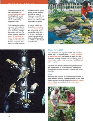 W I L D L I F E               H A B I T A T




single little brown bat can       for bat boxes. Some species,
catch more than 600               such as red bats and hoary
mosquitoes in an hour.            bats, will use foliage of
Watching bats ﬂy around           shrubs and trees, while oth-
light posts catching bugs         ers, such as evening and
can be an interesting             Indiana bats, will roost under
nighttime activity.               loose bark or in cavities.

To help attract bats and pro-     As with all wildlife, bats
vide them with much-need-         should be watched but
ed roosting habitat, you may      not handled or chased.
want to consider putting a        Bats are generally shy of
bat house in your yard.The        humans, and rarely “attack”
houses should be placed on        or ﬂy after a person, but if
poles or buildings at             caught or picked up from
least 15 feet high      in a      the ground, a bat may bite
spot that receives 6 or more      in self-defense. Bats should
hours of sun per day. Tree        not be handled.
trunks are usually too shady



                                                                                    Water for wildlife
                                                                                    Clean, fresh water is as important to birds, bats, and other
                                                                                    wildlife as it is for people.Water in a saucer, bird bath,
                                                                                    or backyard pond gives wildlife the water they need.
                                                                                    Remember to change the water every few days to keep it
                                                                                    fresh. In hot weather, it may be necessary to reﬁll the con-
                                                                                    tainer every day.

                                                                                    Logs, rocks, and other in-water structures provide drinking
                                                                                    and basking habitat for turtles, butterﬂies, and songbirds.
                                                                                    Stones with depressions that collect water will help attract
                                                                                    butterﬂies.

                                                                                    Hint
                                                                                    Butterﬂies, birds, bees, and all wildlife are very vulnerable to
                                                                                    many pesticides and other chemicals. Probably the best single
                                                                                    thing a gardener can do for wildlife is to minimize chemi-
                                                                                    cal use. If you use chemicals, always follow label
                                                                                    instructions.
                                                                   Jesse Grantham




                                                                                                                                   Lynn Betts, USDA




12
 