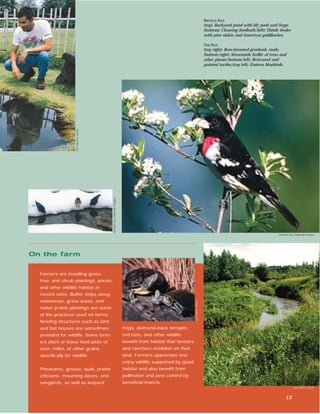 PREVIOUS PAGE
                                                                                                                              (top) Backyard pond with lily pads and frogs;
                                                                                                                              (bottom) Cleaning birdbath; (left) Thistle feeder
                                                                                                                              with pine siskin and American goldﬁnches.

                                                                                                                              THIS PAGE
                                                                                                                              (top right) Rose-breasted grosbeak, male;
                                                                                                                              (bottom right) Streamside buffer of trees and
                                                                                                                              other plants; (bottom left) Red-eared and
                                                                                                                              painted turtles; (top left) Eastern bluebirds.

                    Ron Nichols, USDA




                                        Richard Day, Daybreak Imagery




                                                                                                                                                                        Richard Day, Daybreak Imagery




On the farm


  Farmers are installing grass,
  tree, and shrub plantings, ponds,
  and other wildlife habitat at
  record rates. Buffer strips along
  waterways, grass areas, and
                                                                                                           Lynn Betts, USDA




  native prairie plantings are some
  of the practices used on farms.
  Nesting structures such as bird
  and bat houses are sometimes                                          frogs, diamond-back terrapin,
  provided for wildlife. Some farm-                                     red bats, and other wildlife,
  ers plant or leave food plots of                                      beneﬁt from habitat that farmers
  corn, millet, or other grains                                         and ranchers establish on their
  speciﬁcally for wildlife.                                             land. Farmers appreciate and
                                                                        enjoy wildlife supported by good
  Pheasants, grouse, quail, prairie                                     habitat and also beneﬁt from
  chickens, mourning doves, and                                         pollination and pest control by
  songbirds, as well as leopard                                         beneﬁcial insects.
                                                                                                                                                                                   Lynn Betts, USDA



                                                                                                                                                                             13
 