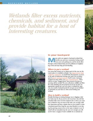 4   B A C K Y A R D   W E T L A N D




    Wetlands ﬁlter excess nutrients,
    chemicals, and sediment, and
    provide habitat for a host of
    interesting creatures.



                                                      In your backyard


                                                      M
                                                                  any yards can support a backyard wetland that
                                                                  beneﬁts you and your community. Letting runoff
                                                                  from your roof, parking area, and lot slowly ﬁlter
                                                      through a mini-wetland helps prevent pollution of neighbor-
                                                      ing creeks and may help prevent ﬂooding.

                                                      Where to put a wetland
                                                      Low areas that remain wet or damp much of the year are the
                                                      easiest places to establish wetlands. Any depression that
                                                      collects rainwater or runoff from downspouts, or serves
                                                      as the path of drainwater leaving your yard, is an excellent
                                                      spot to plant wetland plants.You’ll create a backyard
                                                      wetland area that will be very low maintenance. There
                                                      will be no more “bogged down” lawn mowers because no
                                                      mowing will be needed! The area will attract wildlife and ﬁlter
                                                      the water draining off your property. If you do not have an
                                                      appropriate natural site, you can create a wetland the same
                                                      way you would a backyard pond. Do not put excess fertilizer
                                                      or pesticides on your lawn or other areas feeding your
                                                      wetland.


                                                      How to build a wetland
                                                      Partially blocking an existing drainage way or digging a shal-
                                                      low basin may be all you need to do if you have clay soil that
                                                      naturally holds water. In better drained soil or where you want
                                                      your wetland to stay wet most of the time, you can dig a shal-
                                                      low depression and bury a plastic liner as you would to create
                                                      a backyard pond. How long the area stays ﬂooded or wet dur-
                                                      ing the growing season is key to the types of plants to use. If
                                      Gene Whitaker




                                                      runoff will not naturally keep the area wet enough, you will
                                                      need to have a supply of water available for occasional use.


    16
 