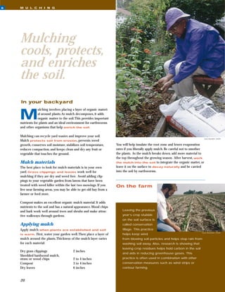6   M U L C H I N G




    Mulching
    cools, protects,
    and enriches
    the soil.
    In your backyard


    M
                 ulching involves placing a layer of organic materi-
                 al around plants.As mulch decomposes, it adds
                 organic matter to the soil.This provides important
    nutrients for plants and an ideal environment for earthworms
    and other organisms that help enrich the soil.

    Mulching can recycle yard wastes and improve your soil.
                                                                                                                                    June Davidek, USDA
    Mulch protects soil from erosion, prevents weed
    growth, conserves soil moisture, stabilizes soil temperature,      You will help insulate the root zone and lower evaporation
    reduces compaction, and keeps clean and dry any fruit or           rates if you liberally apply mulch. Be careful not to smother
    vegetable that touches the ground.                                 the plants. As the mulch breaks down, add more material to
                                                                       the top throughout the growing season. After harvest, work
    Mulch materials                                                    the mulch into the soil to integrate the organic matter, or
    The best place to look for mulch materials is in your own          leave it on the surface to decay naturally and be carried
    yard. Grass clippings and leaves work well for                     into the soil by earthworms.
    mulching if they are dry and weed free. Avoid adding clip-
    pings to your vegetable garden from lawns that have been
    treated with weed killer within the last two mowings. If you       On the farm
    live near farming areas, you may be able to get old hay from a
    farmer or feed store.

    Compost makes an excellent organic mulch material. It adds
    nutrients to the soil and has a natural appearance.Wood chips
    and bark work well around trees and shrubs and make attrac-            Leaving the previous
    tive walkways through gardens.                                         year’s crop stubble
                                                                           on the soil surface is
    Applying mulch                                                         called conservation
    Apply mulch when plants are established and soil                       tillage. This practice
                                                                                                                                  Gene Alexander, USDA
    is warm. First, water your garden well.Then place a layer of           helps keep wind
    mulch around the plants.Thickness of the mulch layer varies            from blowing soil particles and helps stop rain from
    for each material:                                                     washing soil away. Also, research is showing that
                                                                           leaving crop residues helps hold carbon in the soil
    Dry grass clippings                   2 inches
                                                                           and aids in reducing greenhouse gases. This
    Shredded hardwood mulch,
    straw, or wood chips                  2 to 4 inches                    practice is often used in combination with other
    Compost                               3 to 4 inches                    conservation measures such as wind strips or
    Dry leaves                            6 inches                         contour farming.



    20
 