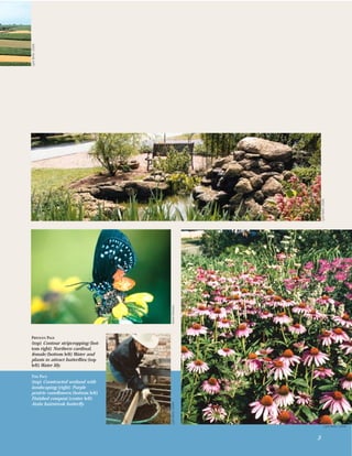 Lynn Betts, USDA




                                                            Lynn Betts, USDA
                                     Alana Edwards




PREVIOUS PAGE
(top) Contour stripcropping; (bot-
tom right) Northern cardinal,
female; (bottom left) Water and
plants to attract butterﬂies; (top
left) Water lily.

THIS PAGE
(top) Constructed wetland with
landscaping; (right) Purple
prairie coneﬂowers; (bottom left)
Finished compost; (center left)
                                     Lynn Betts, USDA




Atala hairstreak butterﬂy.



                                                                       Lynn Betts, USDA



                                                        3
 