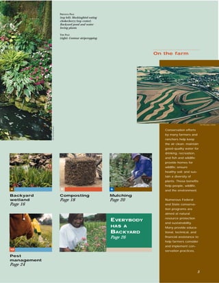 PREVIOUS PAGE
                                (top left) Mockingbird eating
                                chokecherry; (top center)
                                Backyard pond and water-
                                loving plants.

                                THIS PAGE
                                (right) Contour stripcropping.




                                                                              On the farm




                                                                                                              Tim McCabe, USDA
             Jim Archambeault




                                                                                 Conservation efforts
                                                                                 by many farmers and
                                                                                 ranchers help keep
                                                                                 the air clean; maintain
                                                                                 good-quality water for
                                                                                 drinking, recreation,
                                                                                 and ﬁsh and wildlife;
                                                                                 provide homes for
                                                                                 wildlife; ensure
                                                                                 healthy soil; and sus-
                                                                                 tain a diversity of
                                                                                 plants. These beneﬁts
                                                                                 help people, wildlife,
4                               5                                6
                                                                                 and the environment.
Backyard                        Composting                       Mulching
wetland                         Page 18                          Page 20         Numerous Federal
Page 16                                                                          and State conserva-
                                                                                 tion programs are
                                                                                 aimed at natural
                                                                                 resource protection
                                                                 E VERYBODY
                                                                                 and sustainability.
                                                                 HAS A           Many provide educa-
                                                                 BACKYARD        tional, technical, and
                                                                 Page 26         ﬁnancial assistance to
                                                                                 help farmers consider
                                                                                 and implement con-
10
                                                                                 servation practices.
Pest
management
Page 24
                                                                                                          5
 
