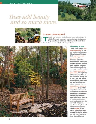 1   T R E E   P L A N T I N G




    Trees add beauty
     and so much more.
                                                   In your backyard


                                                   T
                                                           rees in your backyard can be home to many different types of

                                Lynn Betts, USDA
                                                           wildlife.Trees also can reduce your heating and cooling costs,
                                                           help clean the air, add beauty and color, provide shelter from
                                                   the wind and the sun, and add value to your home.

                                                                                                             Choosing a tree
                                                                                                             Choose a tree that will pro-
                                                                                                             vide enjoyment         for you
                                                                                                             and that ﬁts your landscape.
                                                                                                             Take advantage of the abun-
                                                                                                             dant references on
                                                                                                             gardening in local
                                                                                                             libraries, at universities,
                                                                                                             arboretums, and parks where
                                                                                                             trees are identiﬁed, and from
                                                                                                             native plant and gardening
                                                                                                             clubs, and nurseries. Before
                                                                                                             you buy, you can ﬁnd out if a
                                                                                                             tree is appropriate for
                                                                                                             your area, how big it will
                                                                                                             get, how long it will live, its
                                                                                                             leaf color in the fall, any nuts
                                                                                                             or fruit it may bear, and the
                                                                                                             proper planting instructions
                                                                                                             and care for that species.
                                                                                                             Make a conscious effort to
                                                                                                             select trees native to
                                                                                                             your area.     They will live
                                                                                                             longer, be more tolerant of
                                                                                                             local weather and soil condi-
                                                                                                             tions, enhance natural biodi-
                                                                                                             versity in your neighbor-
                                                                                                             hood, and be more beneﬁcial
                                                                                                             to wildlife than non-native
                                                                                                             trees. Avoid exotic trees that
                                                                                                             can invade other areas,
                                                                                                             crowd out native plants, and
                                                                                                             harm natural ecosystems.
                                                                                                             Plant a variety of tree
                                                                                                             species. For wildlife, choose
                                                                                          Jim Archambeault




                                                                                                             trees and shrubs that bloom
                                                                                                             and bear fruit or nuts at dif-
                                                                                                             ferent times of the year.

    6
 