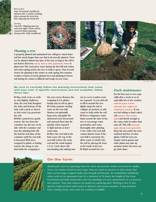 PREVIOUS PAGE
                   (top) Farmstead windbreak;
                   (bottom left) A restful, soothing
                   place among the trees; (top
                   left) Enjoying the backyard.

                   THIS PAGE
Lynn Betts, USDA




                   (top left) Chipping sparrow
                   nest; (top right) Twine will be
                   removed before planting;




                                                                                                          Richard Day, Daybreak Imagery
                   (bottom left) Field windbreak.




                   Planting a tree
                   A properly planted and maintained tree will grow much faster
                   and live much longer than one that is incorrectly planted. Trees
                   can be planted almost any time of the year as long as the soil is
                   not frozen. However, early fall is the optimum time to
                   plant trees.The roots grow some during the ﬁrst fall and winter
                   and when spring arrives the tree is ready to grow. Your second
                   choice for planting is late winter or early spring. Hot summer
                   weather is hard on newly planted trees and planting in frozen
                   soil during the winter is difﬁcult and tough on tree roots.
                                                                                                                                                                                                             Lynn Betts, USDA



                   Be sure to carefully follow the planting instructions that come
                   with your tree. If speciﬁc instructions are not available, follow                                                                                       Early maintenance
                   these tips:
                                                                                                                                                                           For the ﬁrst year or two, espe-
                   s Dig a hole twice as wide                             the root crown. Remove the                                      not to cover it unless roots     cially after a week or so of
                   as, and slightly shallower                             wrapping if it is plastic;                                      are exposed. As you add soil     especially hot or dry weather,
                   than, the root ball. Roughen                           burlap may be left in place.                                    to ﬁll in around the tree,       watch your trees
                   the sides and bottom of the                            s Gently separate circling                                      lightly tamp the soil to         closely for signs of
                   hole with a pick or shovel                             roots on the root ball.                                         collapse air pockets, or add     moisture stress. If you
                   so that roots can penetrate                            Shorten exceptionally                                           water to help settle the soil.   see leaf wilting or hard, caked
                   the soil.                                              long roots, and guide the                                       s Form a temporary water         soil, water the trees
                   s With a potted tree, gently                           shortened roots downward                                        basin around the base of the     well and slowly enough so
                   remove the tree from the                               and outward. Root tips die                                      tree to encourage water          the water soaks in rather than
                   container. Lay the tree on its                         quickly when exposed                                            penetration, and water           runs off. This will encour-
                   side with the container end                            to light and air, so don’t                                      thoroughly after planting.       age deep root growth.
                   near the planting hole. Hit                            waste time.                                                     A tree with a dry root ball      Keep the area under the trees
                   the bottom and sides of the                            s Place the root ball in the                                    cannot absorb water; if the      mulched and free of other
                   container until the root ball                          hole. Leave the top of the                                      root ball is extremely dry,      plants. Until the trees are
                   is loosened.With trees                                 root ball (where the roots                                      allow water to trickle into      deeply rooted, grasses and
                   wrapped in plastic or burlap,                          end and the trunk begins)                                       the soil by placing the hose     other plants may take up
                   remove the string or wire                              1/2 to 1 inch above the                                         at the trunk of the tree.        moisture before the trees can
                   that holds the wrapping to                             surrounding soil, making sure                                   s Mulch around the tree.         get their share.



                                                                          On the farm

                                                                          Windbreaks and tree plantings slow the wind and provide shelter and food for wildlife.
                                                                          Trees can shelter livestock and crops; they are used as barriers to slow winds that
                                                                          blow across large cropped ﬁelds and through farmsteads. An established windbreak
                                                                          slows wind on its downwind side for a distance of 10 times the height of the trees.
                                                                          Farmstead and ﬁeld windbreaks and tree plantings are key components of a conserva-
                                                       Lynn Betts, USDA




                                                                          tion system. They also improve air quality by capturing dust. Planting a mix of tree
                                                                          species helps prevent total losses to disease and severe weather; it also provides
                                                                          food, nesting areas, and cover for a variety of wildlife.

                                                                                                                                                                                                        7
 