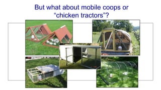 But what about mobile coops or
“chicken tractors”?
 