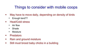 Things to consider with mobile coops
▪ May have to move daily, depending on density of birds
• Enough land??
▪ Heat/Cold stress
• Air flow
• Shade
• Moisture
▪ Predators
▪ Rain and ground moisture
▪ Still must brood baby chicks in a building
 