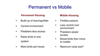 Permanent vs Mobile
Permanent Housing Mobile Housing
▪ Build up of shavings/litter
▪ Control environment
▪ Predators less access
▪ Raise birds in one
system
▪ More birds per house
▪ Fertilize pasture
▪ Less control over
environment
▪ Predators easier
access
▪ Brood birds then move
to mobile
▪ Maximum coop size?
 