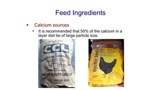 Feed Ingredients
▪ Calcium sources
• It is recommended that 50% of the calcium in a
layer diet be of large particle size.
 