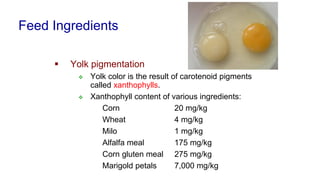 Feed Ingredients
▪ Yolk pigmentation
❖ Yolk color is the result of carotenoid pigments
called xanthophylls.
❖ Xanthophyll content of various ingredients:
Corn 20 mg/kg
Wheat 4 mg/kg
Milo 1 mg/kg
Alfalfa meal 175 mg/kg
Corn gluten meal 275 mg/kg
Marigold petals 7,000 mg/kg
 