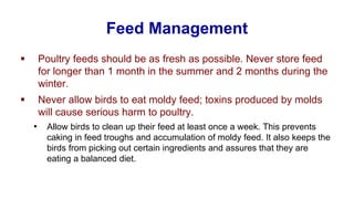 Feed Management
▪ Poultry feeds should be as fresh as possible. Never store feed
for longer than 1 month in the summer and 2 months during the
winter.
▪ Never allow birds to eat moldy feed; toxins produced by molds
will cause serious harm to poultry.
• Allow birds to clean up their feed at least once a week. This prevents
caking in feed troughs and accumulation of moldy feed. It also keeps the
birds from picking out certain ingredients and assures that they are
eating a balanced diet.
 