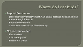 Reputable sources
• National Poultry Improvement Plan (NPIP) certified hatcheries (can
order through US mail)
• Reputable breeders
 Ask for documentation of disease testing
Not recommended:
• Flea markets
• Ads in the paper
• Friend of a friend
 