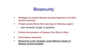 Biosecurity
▪ Strategies to control disease causing organisms and their
carriers (vectors).
▪ Protect poultry flocks from any type of infectious agent.
• viral, bacterial, fungal, or parasitic
▪ Control transmission of disease from flock to flock.
▪ Preventative measures
▪ Biosecurity is the cheapest, most effective means of
disease control available.
 