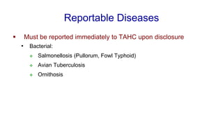 Reportable Diseases
▪ Must be reported immediately to TAHC upon disclosure
• Bacterial:
❖ Salmonellosis (Pullorum, Fowl Typhoid)
❖ Avian Tuberculosis
❖ Ornithosis
 