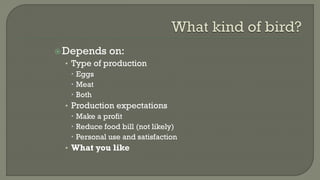 Depends on:
• Type of production
 Eggs
 Meat
 Both
• Production expectations
 Make a profit
 Reduce food bill (not likely)
 Personal use and satisfaction
• What you like
 