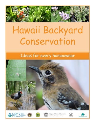 Hawaii Backyard
 Conservation
 Ideas for every homeowner
 