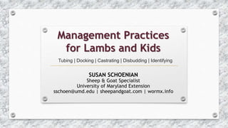 Tubing | Docking | Castrating | Disbudding | Identifying
SUSAN SCHOENIAN
Sheep & Goat Specialist
University of Maryland Extension
sschoen@umd.edu | sheepandgoat.com | wormx.info
Management Practices
for Lambs and Kids
 