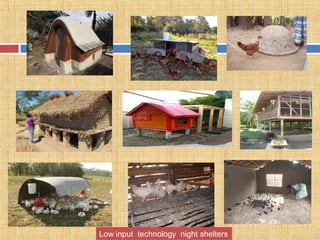 Low input technology night shelters
 